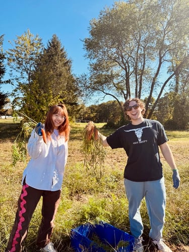 fea81b3f-0a09-4ded-899c-79e92c462b47